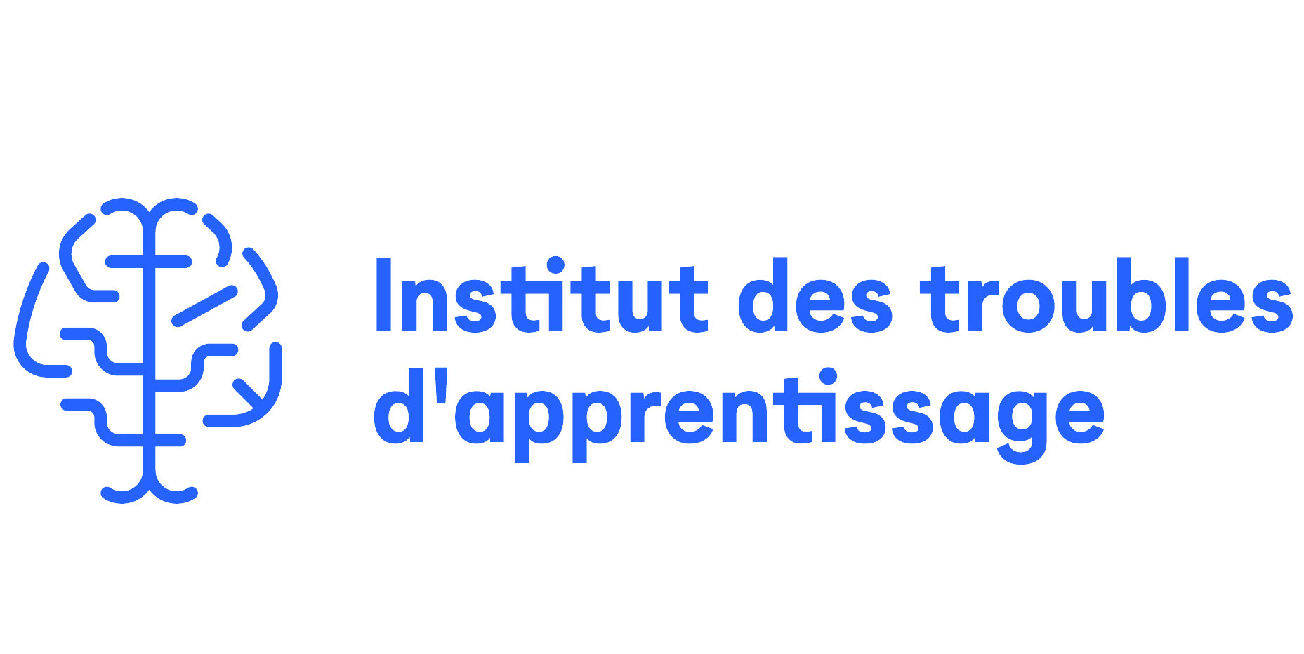 <p>L’Institut des troubles d'apprentissages opère depuis plus de 50 ans afin d’aider les jeunes d’âge scolaire ayant des défis liés à l’apprentissage.</p>