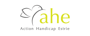 <p><span style="font-weight: 400;">Action Handicap Estrie regroupe vingt-deux organismes de promotion des intérêts et défense des droits des personnes handicapées en Estrie.</span></p>
